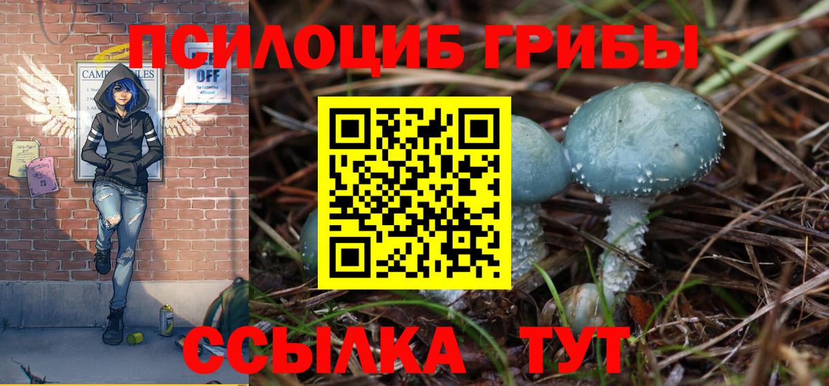 Волжский  Псилоцибиновые грибы Cubensis  Галлюциногенные грибы мицелий  Вход с VPN 